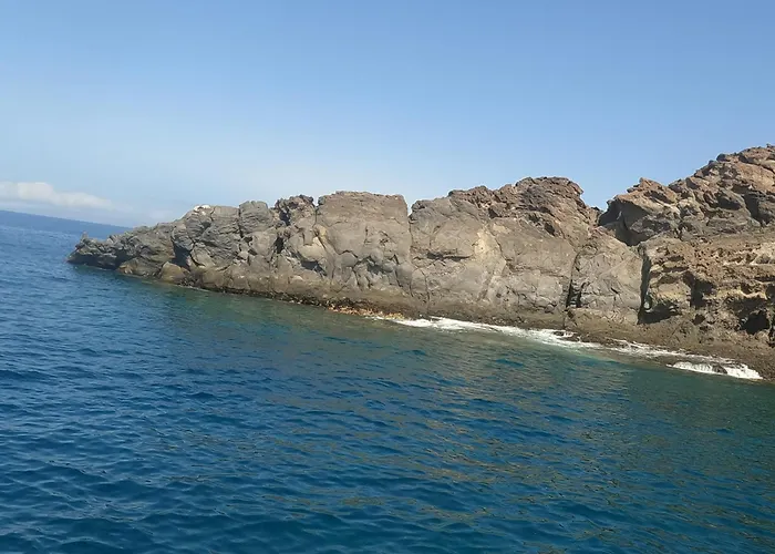 Cozy Wi-fi Gratis * Адехе