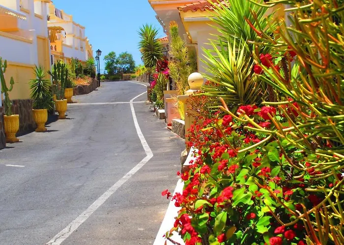 Cozy Wi-fi Gratis Адехе